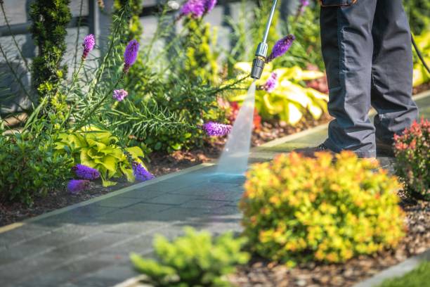 Professional  Pressure Washing Services in North Vacherie, LA